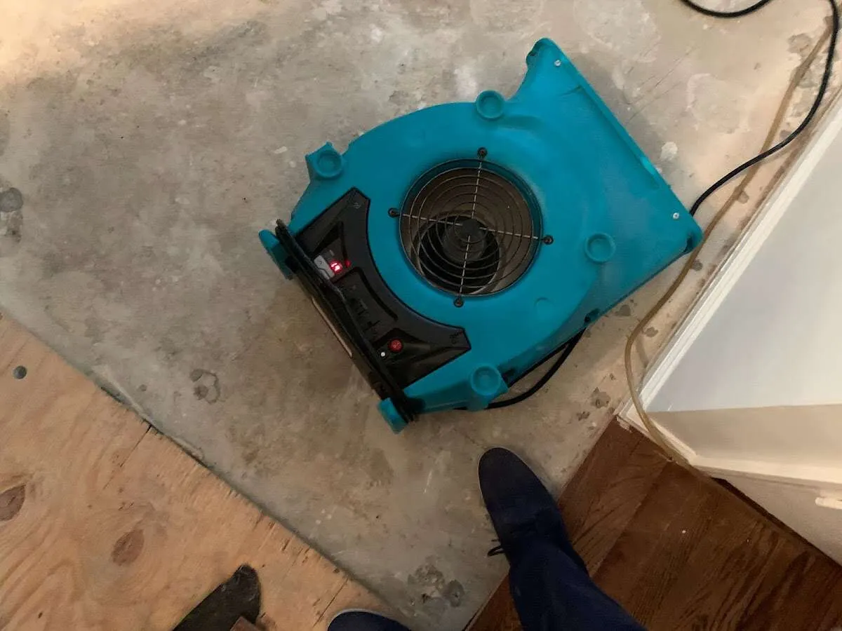 Air mover drying subfloor during Leak Detection & Repair in Kennedy